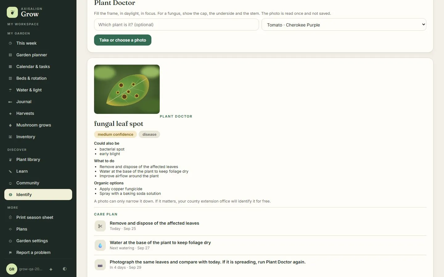 Plant Doctor result for a spotted leaf linked to a tomato planting: fungal leaf spot at medium confidence, lookalikes, what to do, organic options and a dated care plan.